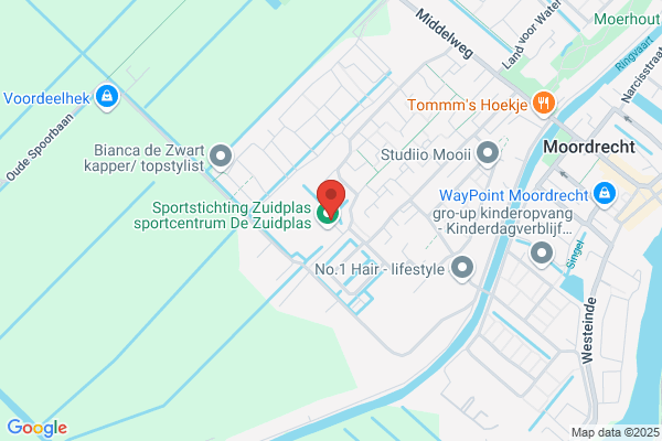Ijsselvogels