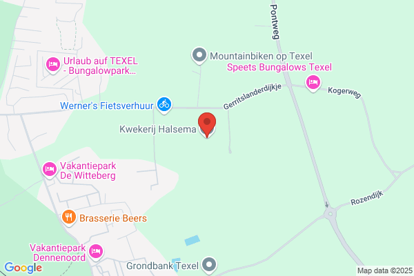 Halsema, T Van