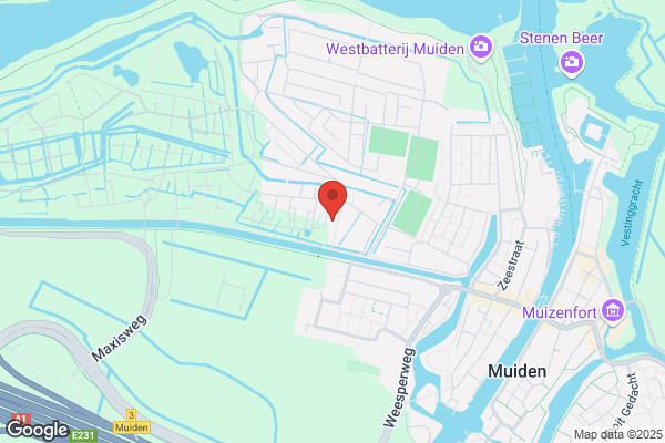 VanderWijk Consultancy