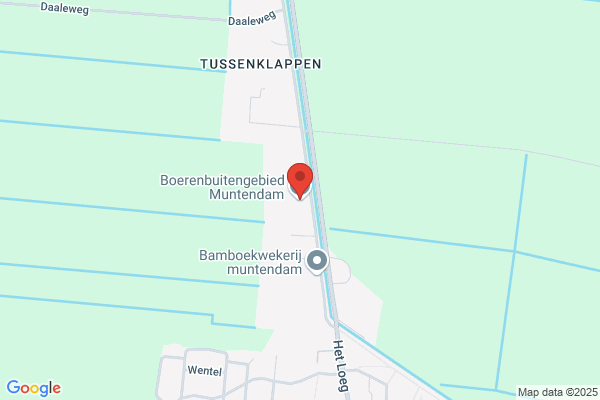 De Boetenbainder