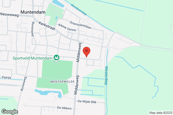 Toekomst, Woninginrichting De