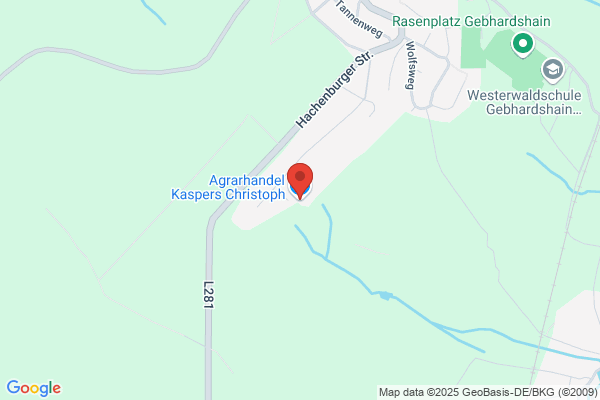 Kaspers, A M