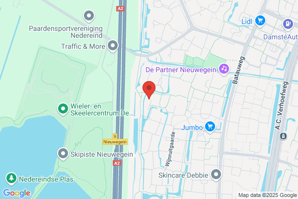 Dort Bv, Van