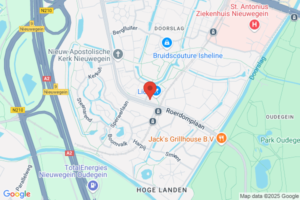 Roerdomp, De