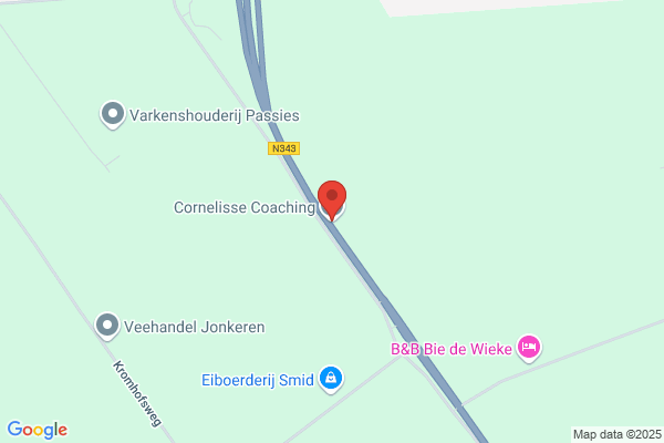 J A M Cornelissen