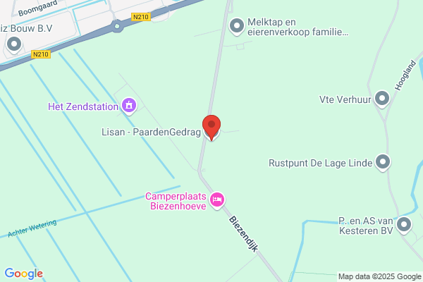 Lisan - PaardenGedrag