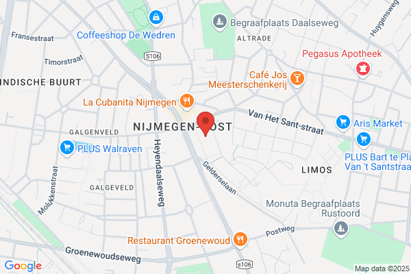 Denny Baggen Muurschilderingen en Schilderijen
