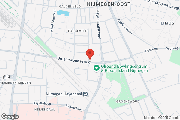 Copingzorg
