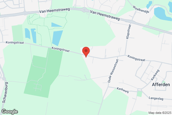 Van Den Hof Bloemenexport