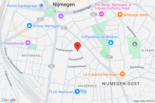 Dierfysiotherapie V.J.P.M. Hoogma