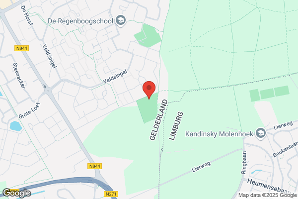 De Vlakruiters