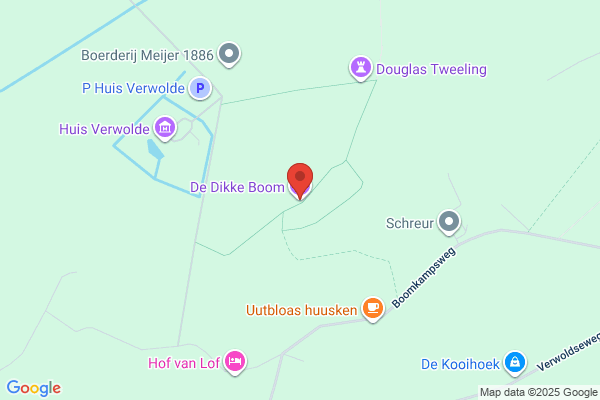 De Dikke Boom