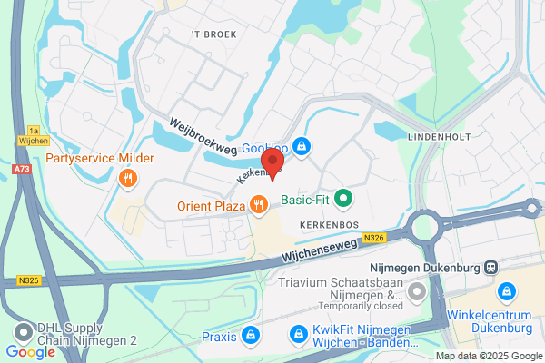 Dit Interim Techniek