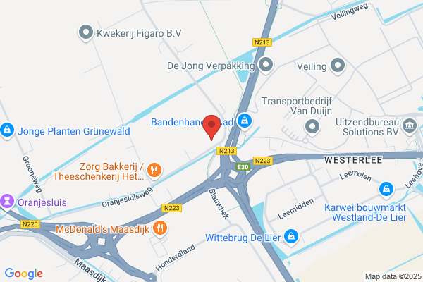 Van Veldhoven Consultancy