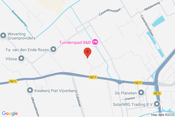 Koos Verbeek Chrysanten Holland