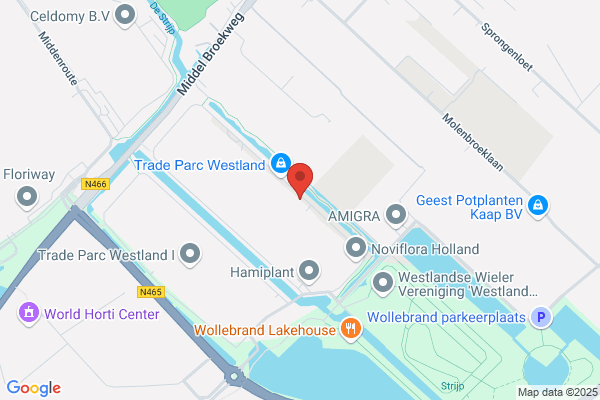 Potplanten Van Der Eijk Bv