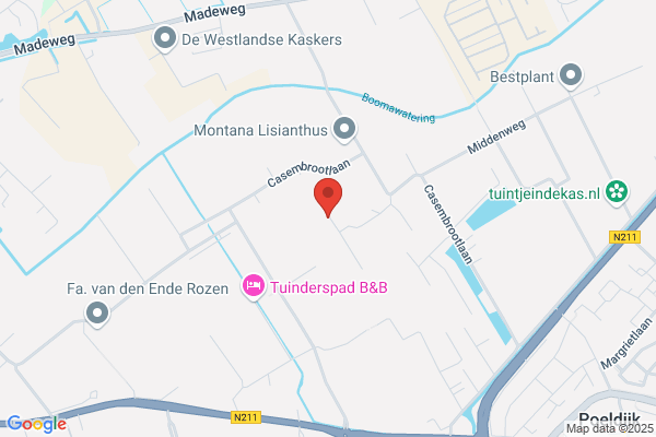 Aad Scheffers