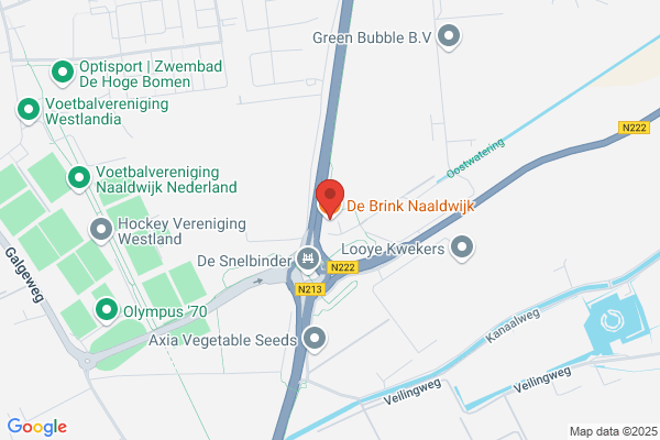 G. Van Den Brink
