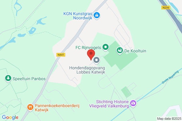 Kwekerij Festina Cv