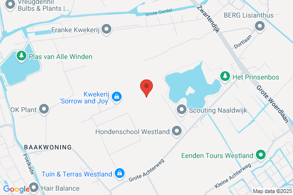 Leliekwekerij A.P. Van Der Voort Bv