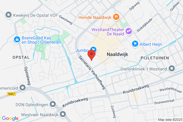 Action Naaldwijk