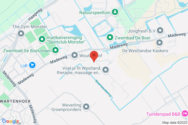 A.P.M. Van Der Goes