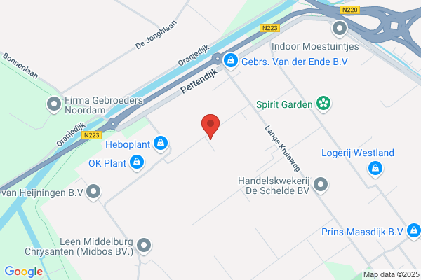 Firma Van Der Kruk