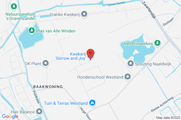 Kwekerij Vroombout & Zn Bv