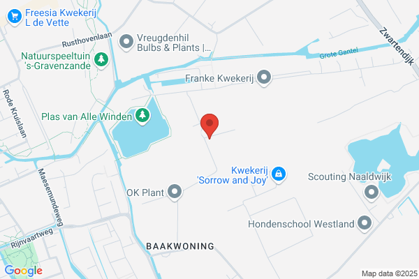 P. Groenewegen Naaldwijk Bv