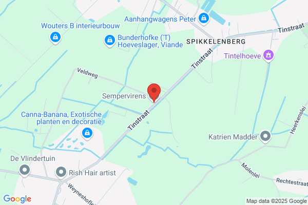 Hoveniersbedrijf Sempervirens