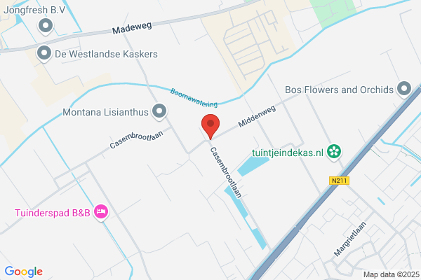 Kok Hoveniersbedrijf George en Zoon