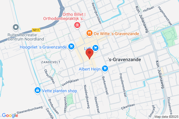 Domino's Pizza S-gravenzande