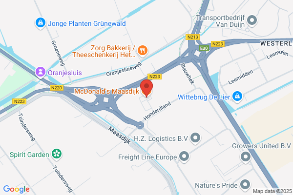 McDonald's Maasdijk