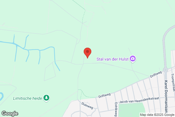 Theehuis Bosch En Heide
