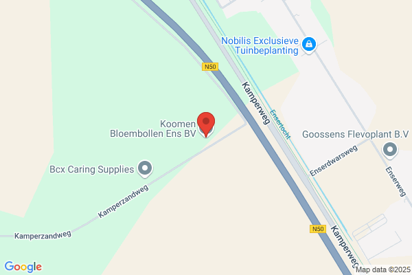 Bloembollen Koomen Vof