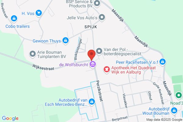Weijgertze Auto Techniek