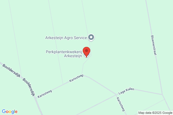 N. Arkesteijn