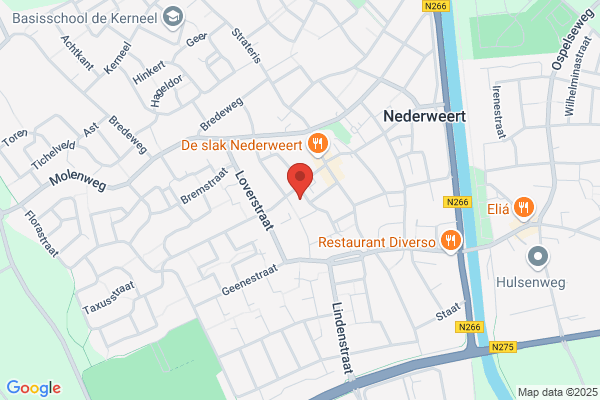 Pelikaan, De