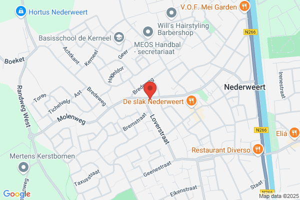Neijnens, M H W