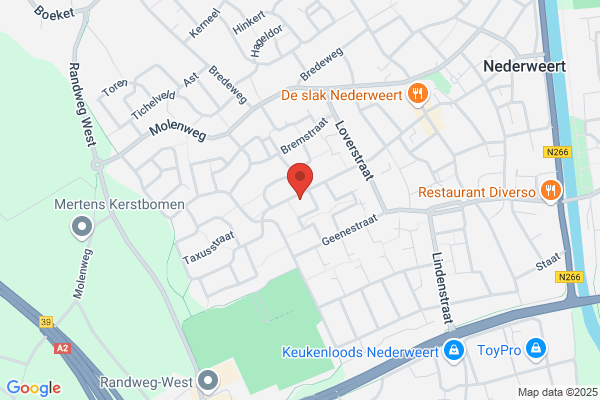 Cocon, Sticht