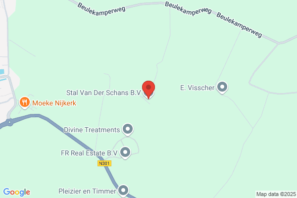 Balkenschoten
