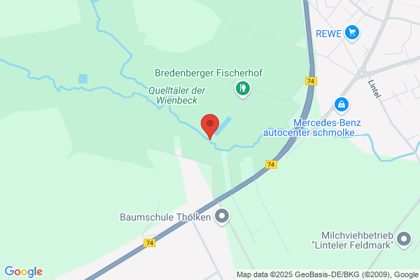 Wienbeck, M J E