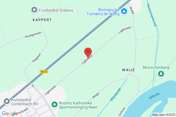 Ligteveld