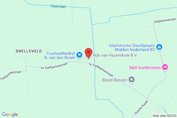 Avvl Nv