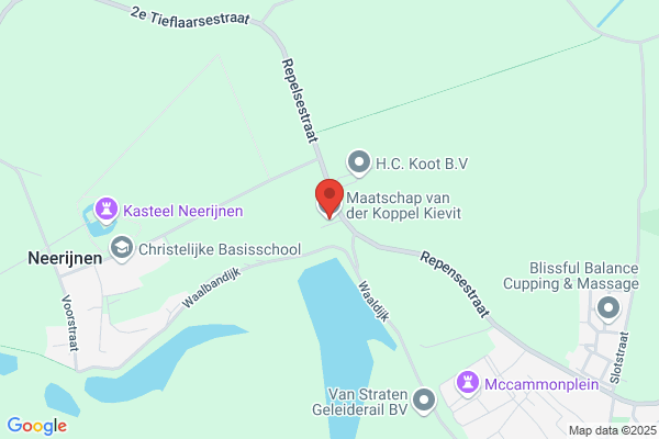 Kievit