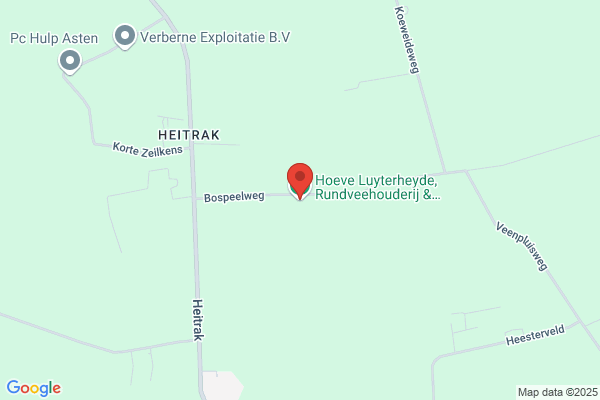 Nieuwe Hof, De