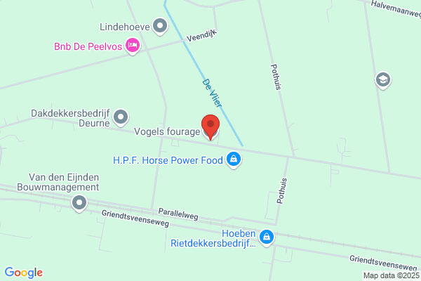 Vogels Int