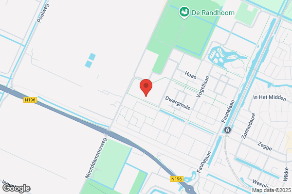 De Dolfijn Voor Sbo