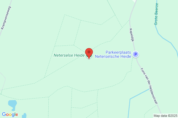 Heideroosje, 't