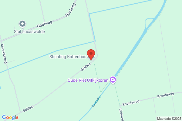 Kattenbos
